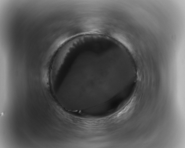X0000096671455200802121141