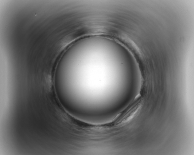 X0000096671457200802121141