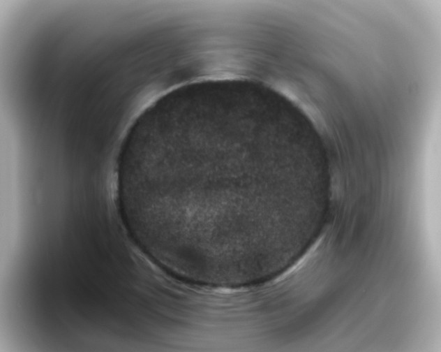 X0000096671459200802121141