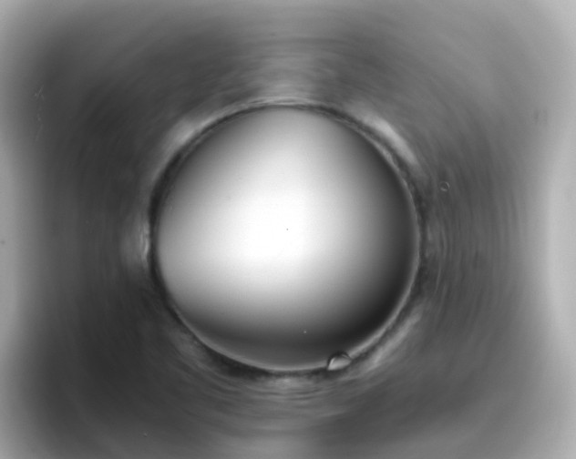 X0000096671461200802121141