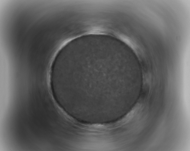 X0000096671463200802121141