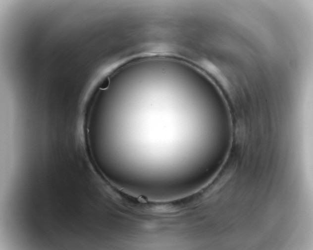 X0000096671464200802121141