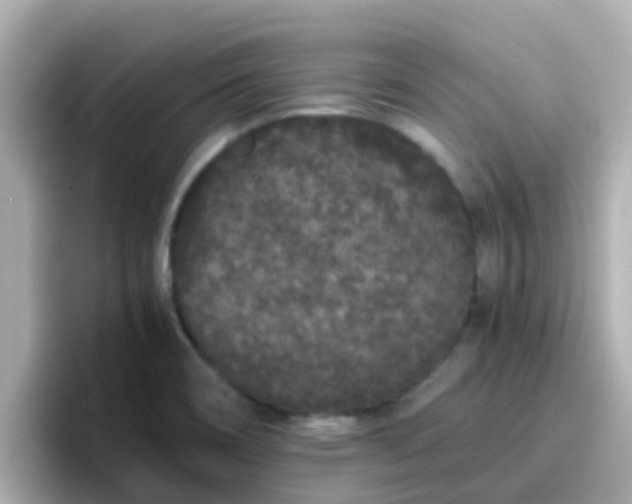 X0000096671466200802121141