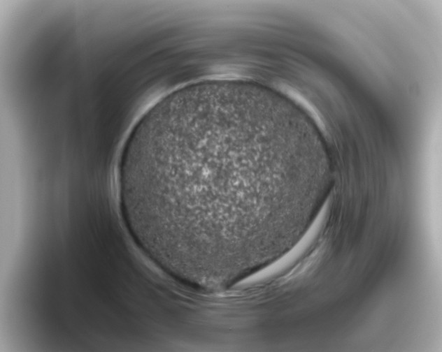 X0000096671467200802121141