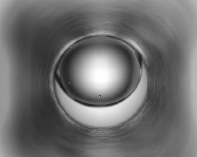 X0000096671468200802121141