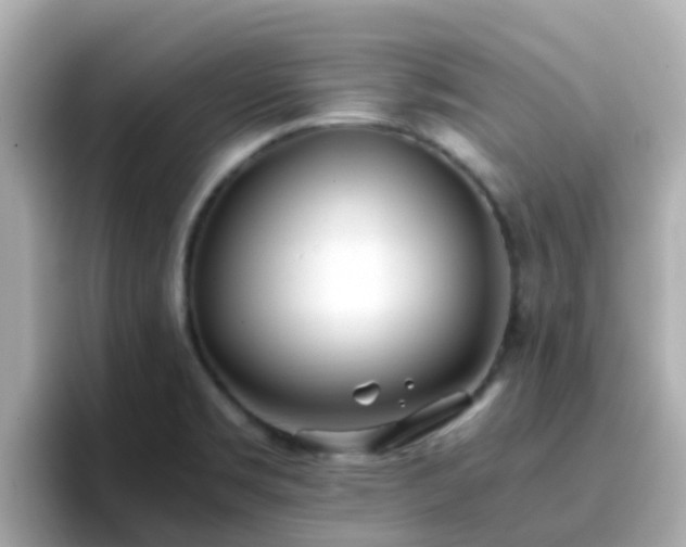 X0000096671469200802121141