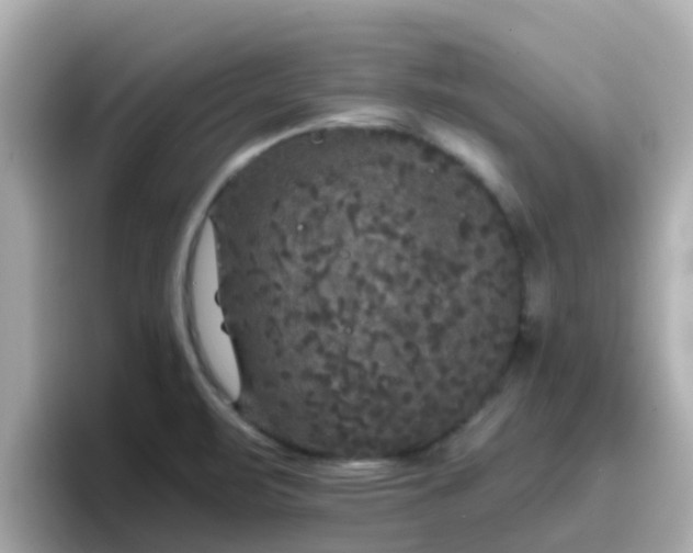 X0000096671471200802121141