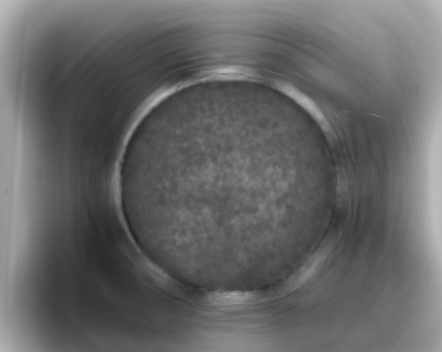 X0000096671474200802121141