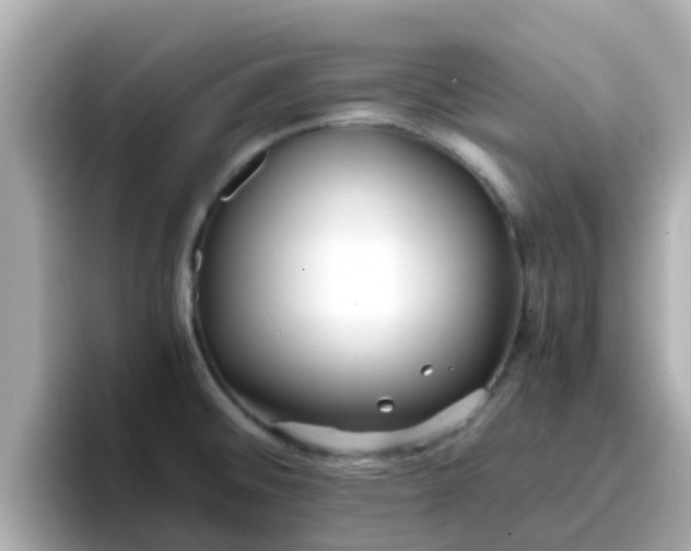 X0000096671476200802121141
