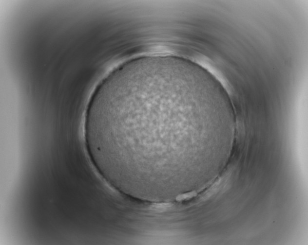 X0000096671477200802121141