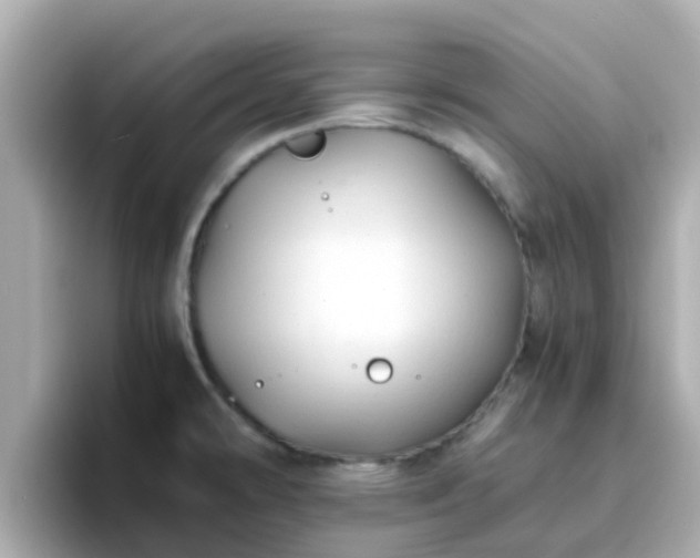X0000096671478200802121141