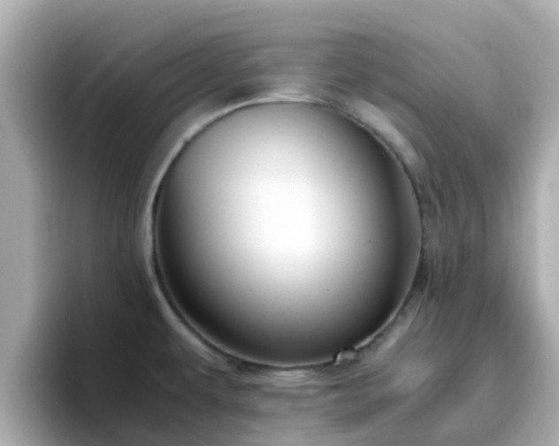 X0000096671479200802121141