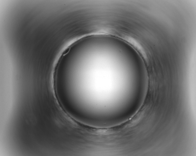 X0000096671480200802121141