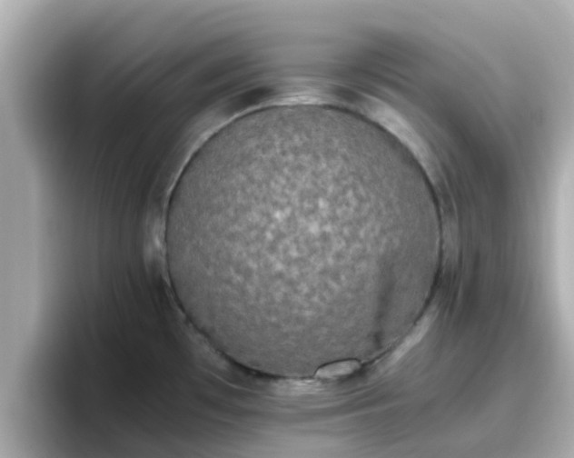 X0000096671481200802121141