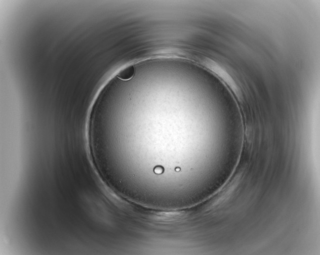 X0000096671482200802121141