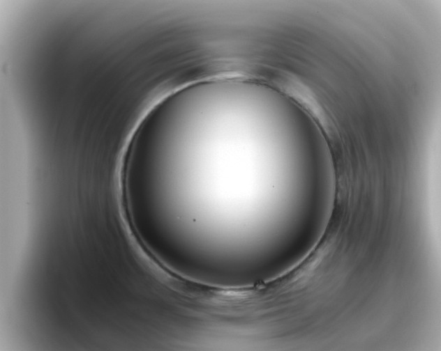 X0000096671483200802121141