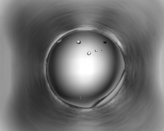 X0000096671484200802121141