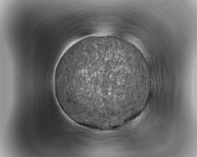 X0000096671487200802121141