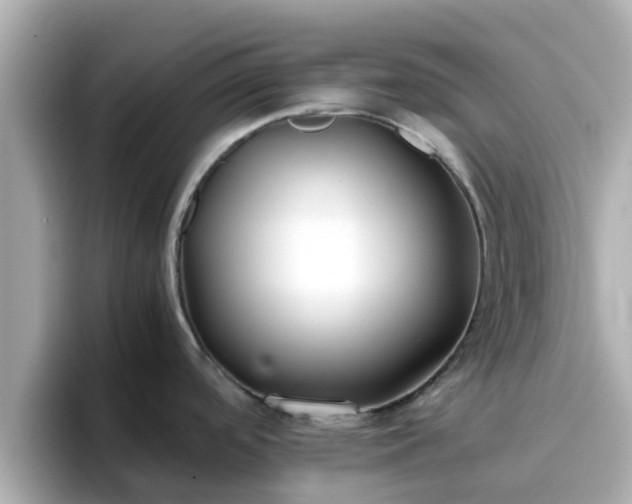X0000096671488200802121141