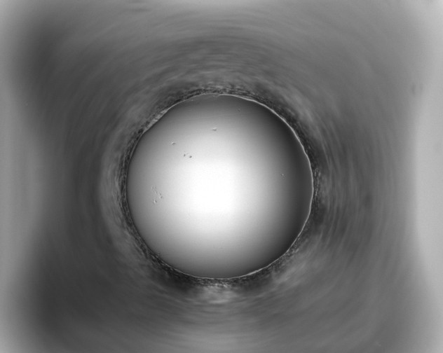 X0000096671489200802121140