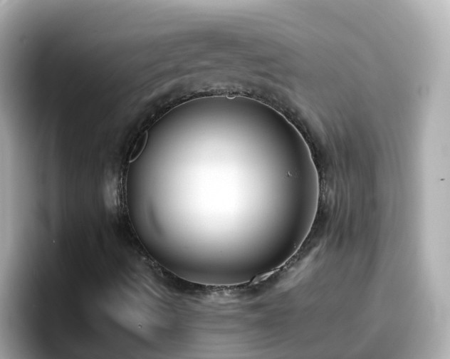X0000096671490200802121140