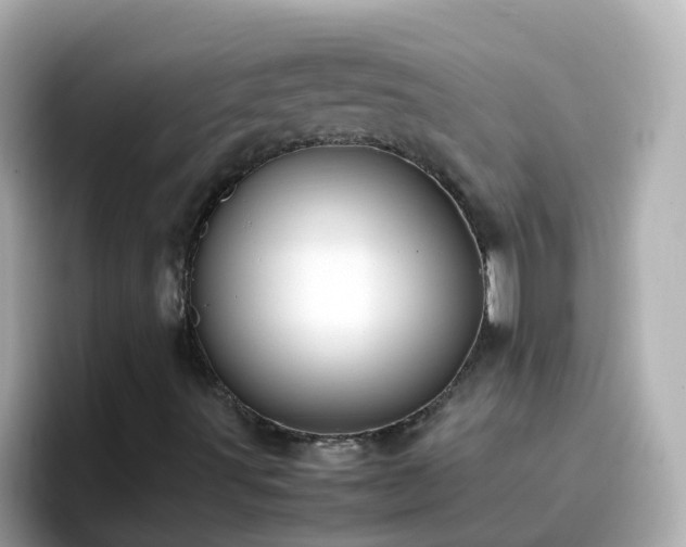X0000096671491200802121140