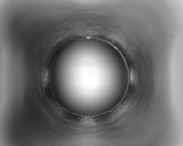X0000096671492200802121140