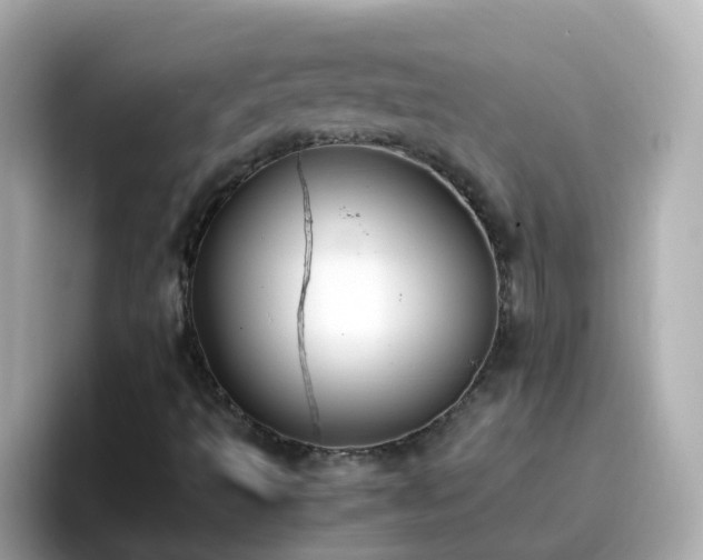 X0000096671493200802121140