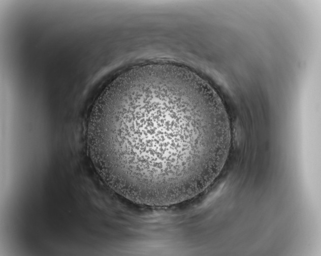 X0000096671494200802121140