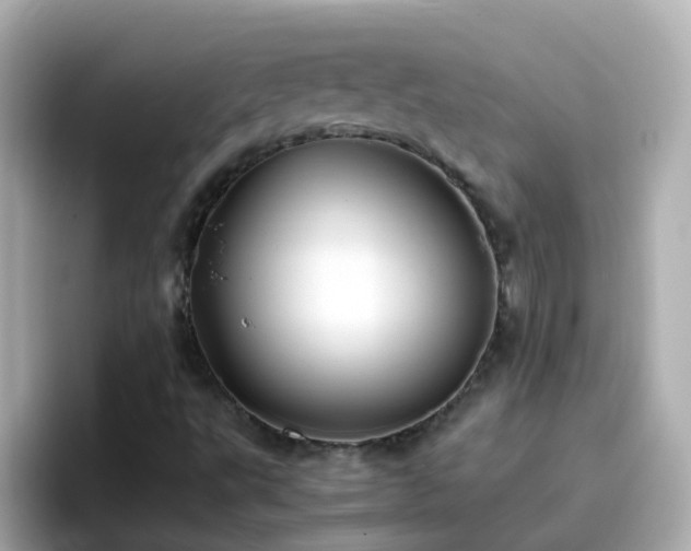 X0000096671495200802121140