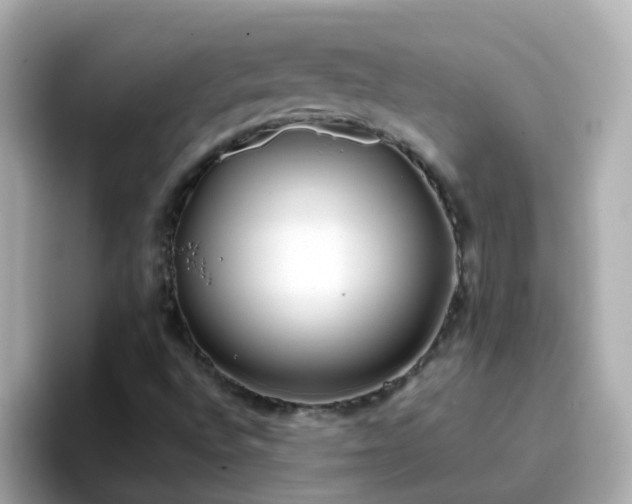 X0000096671496200802121140