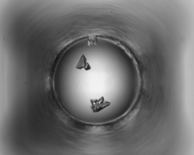 X0000096671497200802121140