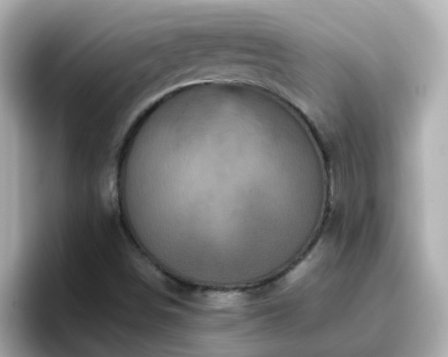 X0000096671498200802121140