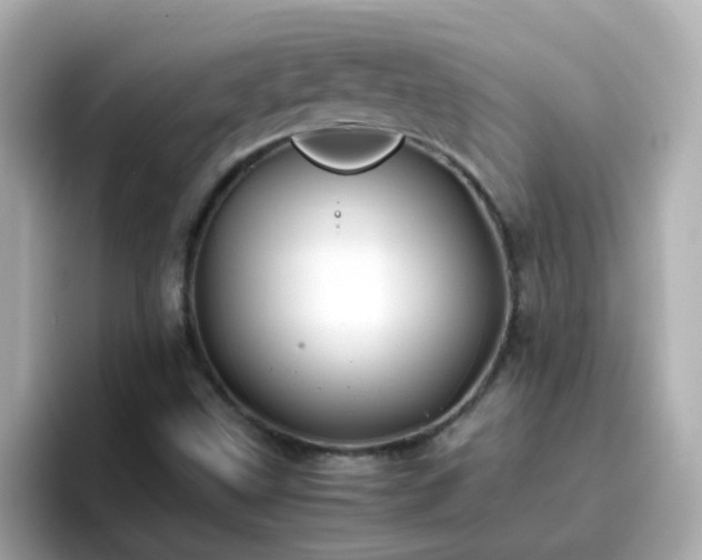 X0000096671499200802121140