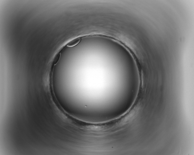 X0000096671500200802121140
