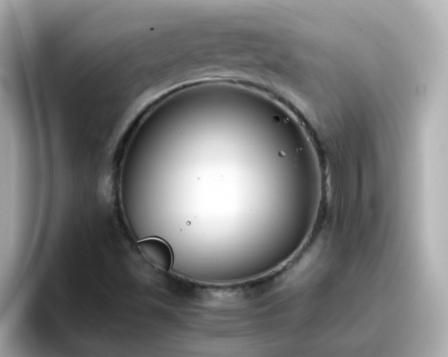 X0000096671501200802121140