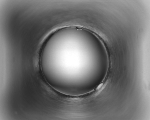 X0000096671502200802121140