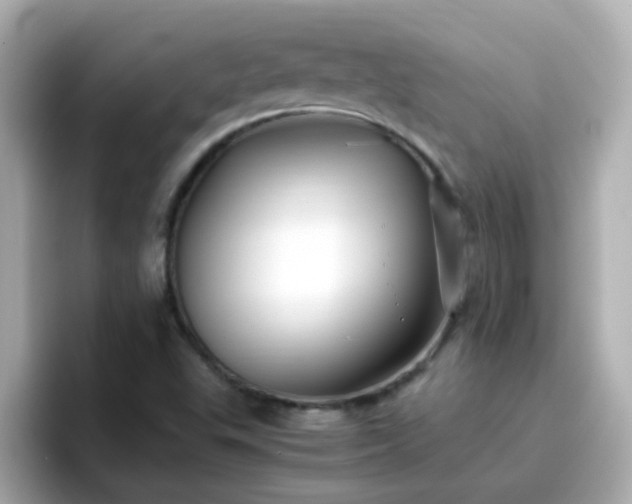 X0000096671503200802121140