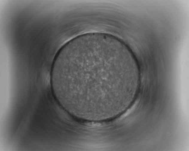X0000096671505200802121140
