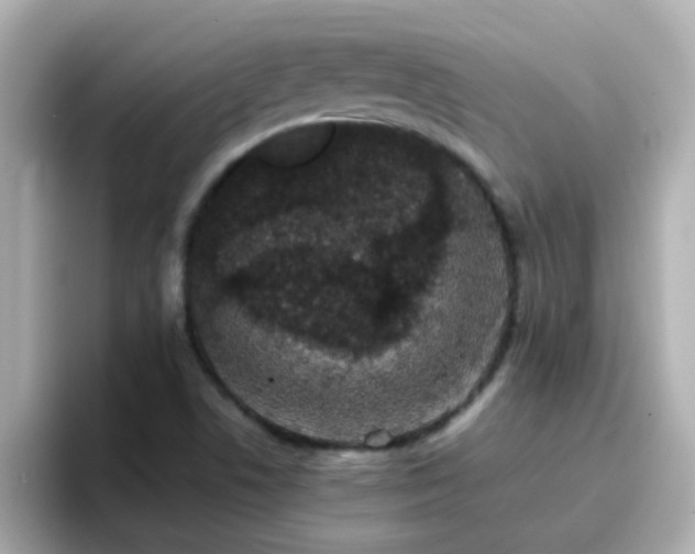 X0000096671506200802121140