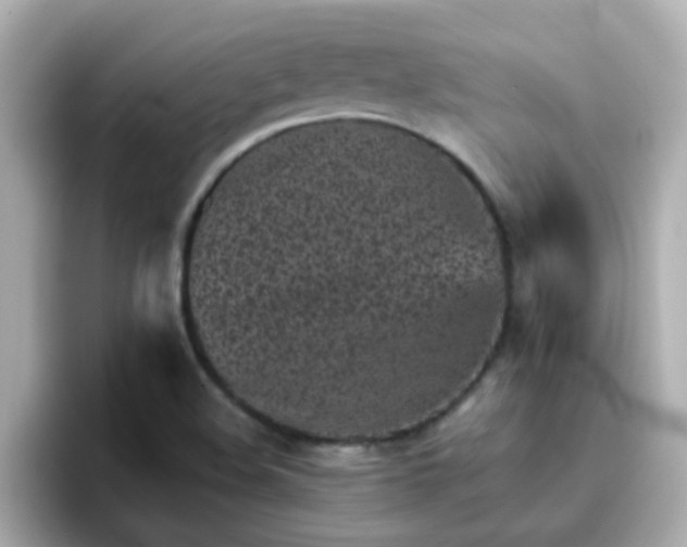 X0000096671508200802121140