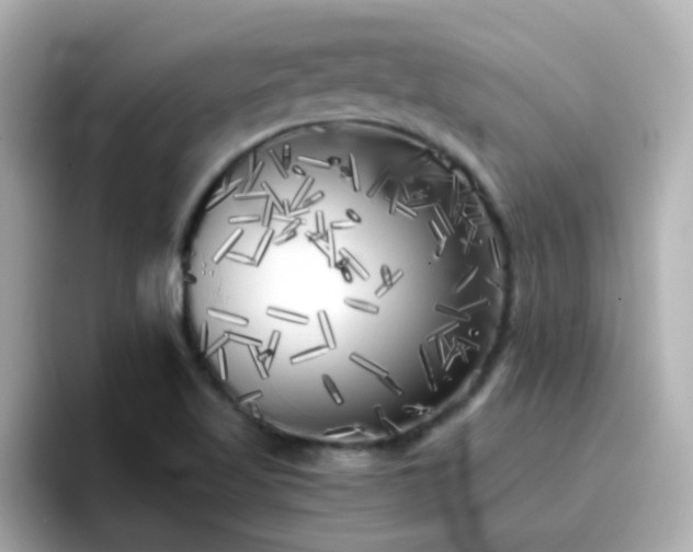 X0000096671509200802121140