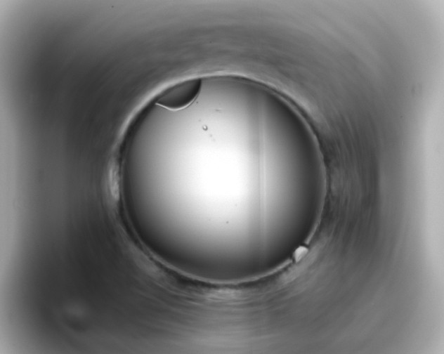 X0000096671510200802121140