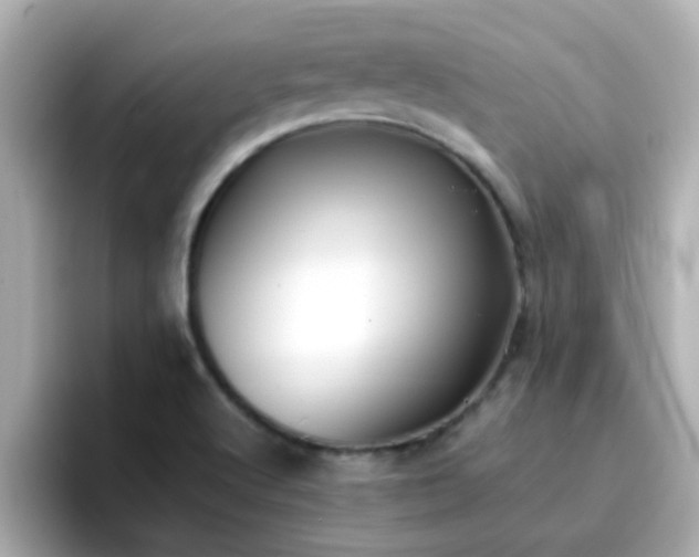 X0000096671512200802121140