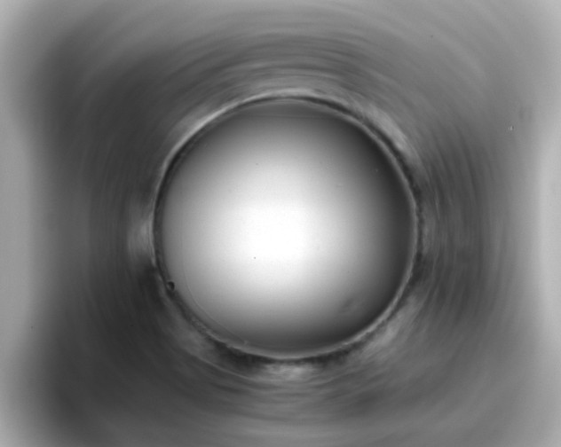 X0000096671513200802121140
