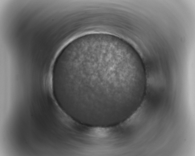 X0000096671514200802121140