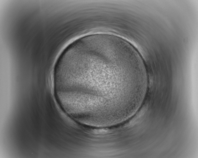 X0000096671515200802121140
