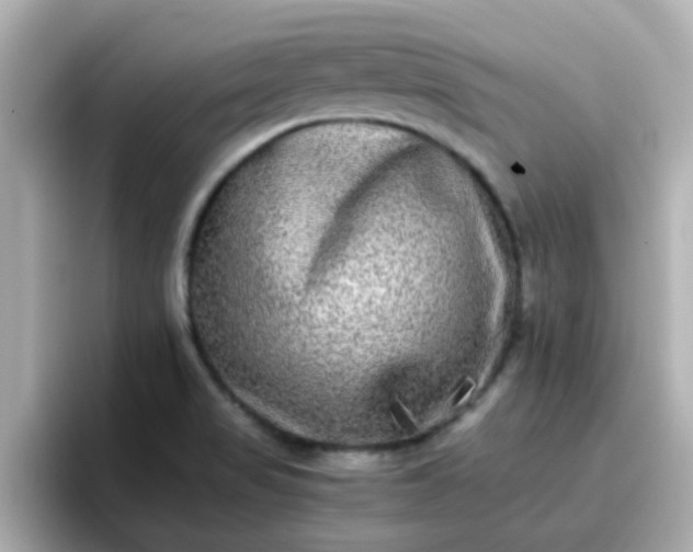X0000096671517200802121140