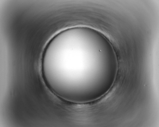 X0000096671518200802121140