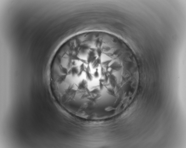 X0000096671519200802121140
